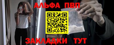 прущие крисы Кингисепп