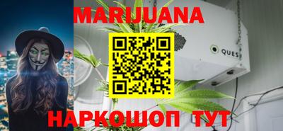 прущие крисы Кингисепп