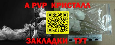 прущие крисы Кингисепп