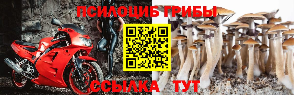 Галлюциногенные грибы прущие грибы Кинель